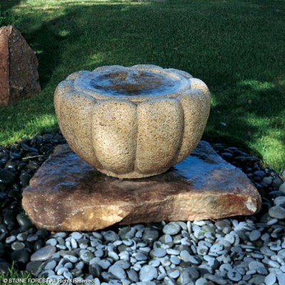 Lotus Basin