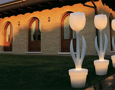 TulipXL