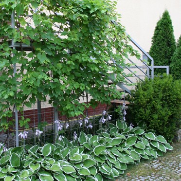 Pokój ogrodowy