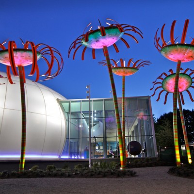 Sonic Bloom 
