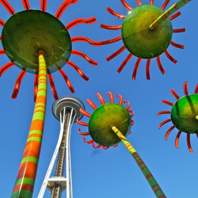 Sonic Bloom 