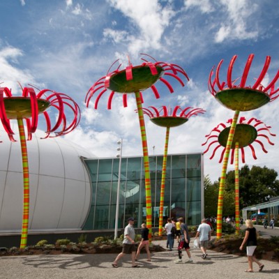 Sonic Bloom 