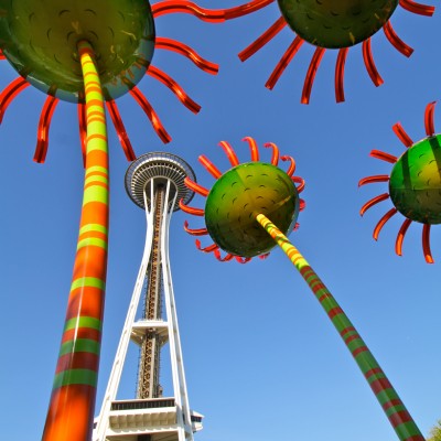 Sonic Bloom 