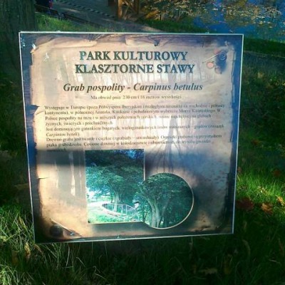 Klasztorne Stawy