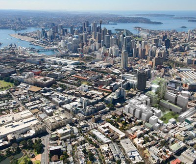 zielona ściana w Sydney