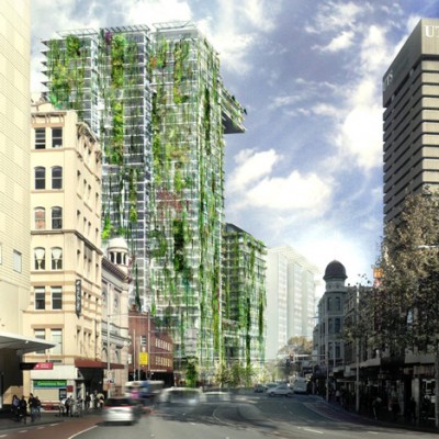 zielona ściana w Sydney