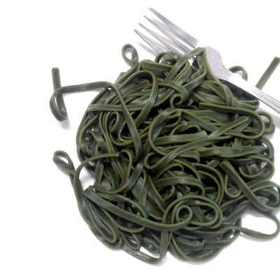 Algi