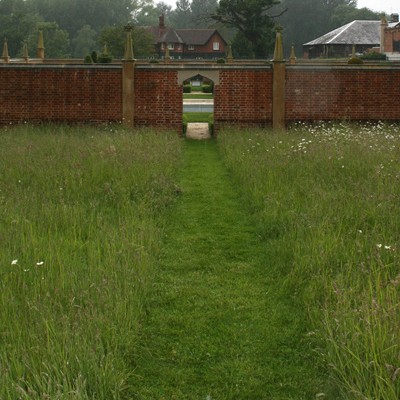 Trawy