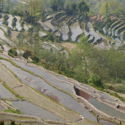 Honghe Hani