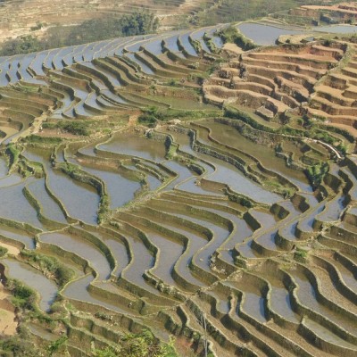 Honghe Hani