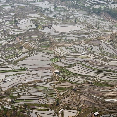 Honghe Hani