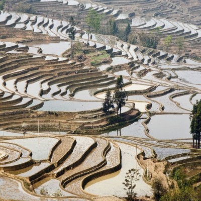 Honghe Hani