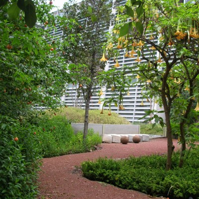 Biblioteka i ogród botaniczny