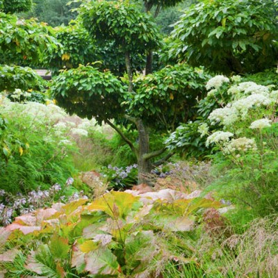 fot. Marianne Majerus , projekt: Tom Stuart-Smith Ltd Landscape Design