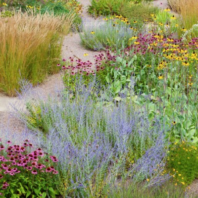 fot. Marianne Majerus , projekt: Tom Stuart-Smith Ltd Landscape Design