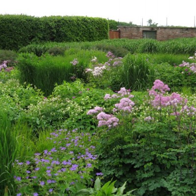 Foto: Andrew Lawson, projekt: Tom Stuart-Smith Ltd Landscape Design