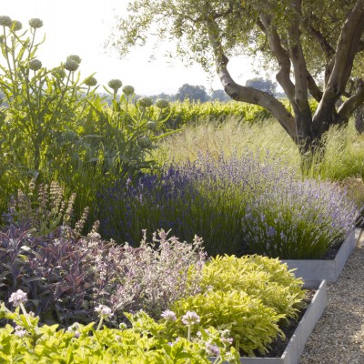 Medlock Ames Tasting Room and Alexander Valley Bar