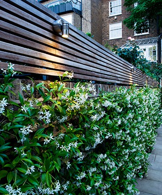 Andy Sturgeon Landscape and Garden Design