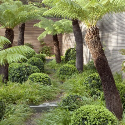 Tom Stuart-Smith Ltd Landscape Design