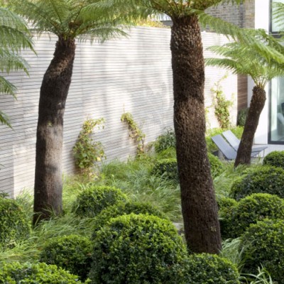 Tom Stuart-Smith Ltd Landscape Design