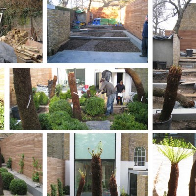 Tom Stuart-Smith Ltd Landscape Design