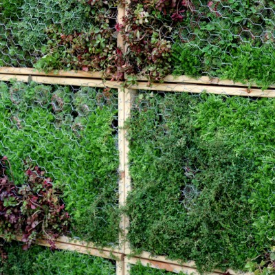 Iga Kołodziej (Mint&Lavender) oraz Aleksandra Wiktorko - Mural z korzeniami