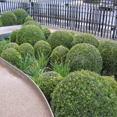 Andy Sturgeon Landscape and Garden Design