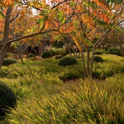 Tom Stuart-Smith Ltd Landscape Design