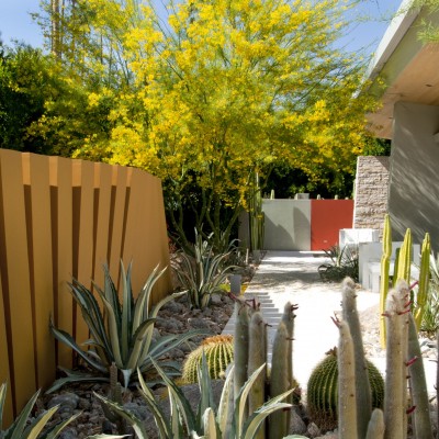 Steve Martino and Associates z Phoenix
