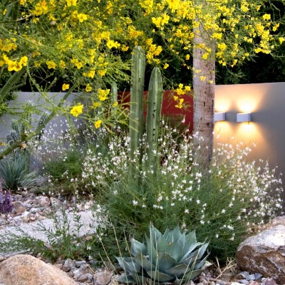 Steve Martino and Associates z Phoenix