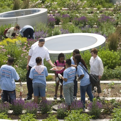 Hoerr Schaudt, Landscape Architects