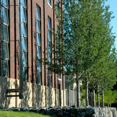 Hocker Design Group
