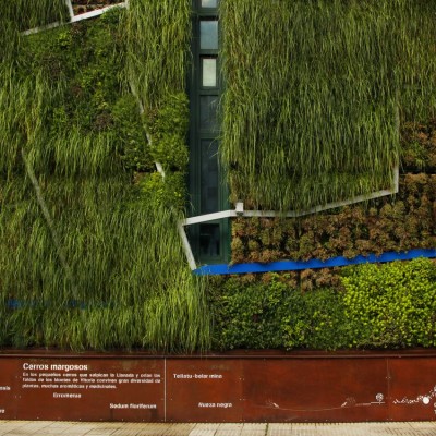 Urbanarbolismo and Unusualgreen Studios