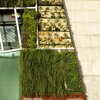 Urbanarbolismo and Unusualgreen Studios