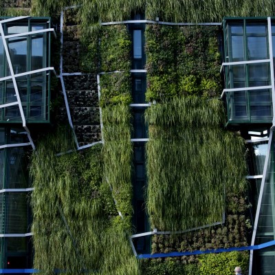 Urbanarbolismo and Unusualgreen Studios