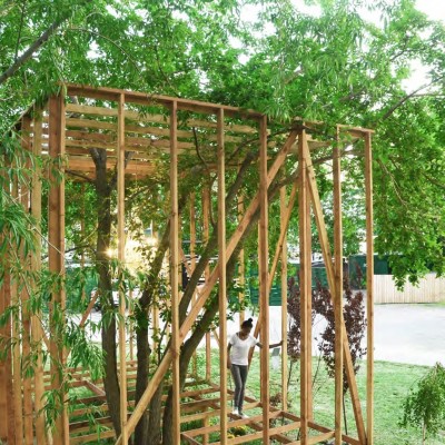 TREE WOOD - Toshihiro Oki Architect