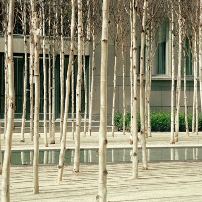 PWP Landscape Architecture