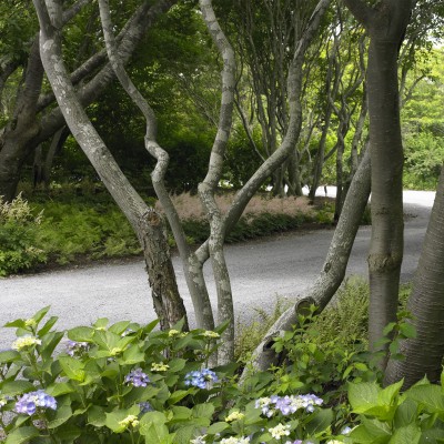 Edmund Hollander Landscape Architect Design