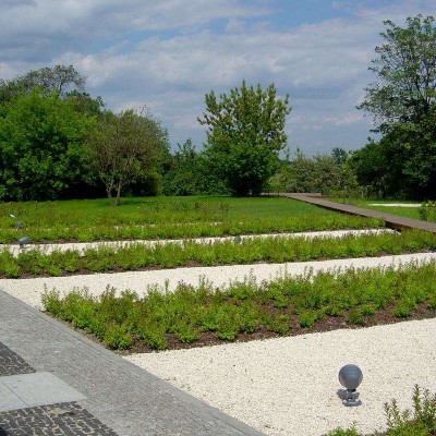 ACANTHUS