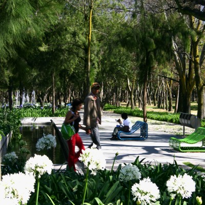 Grupo De Diseño Urbano