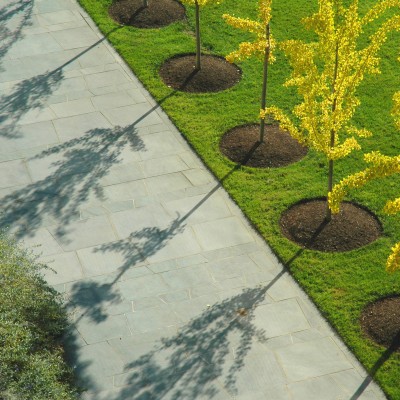 Michael Vergason Landscape Architects, Ltd.