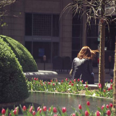 PWP Landscape Architecture