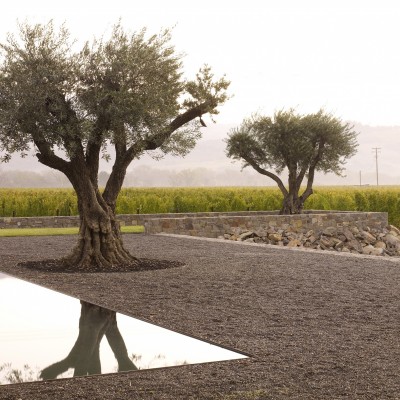 Andrea Cochran Landscape Architecture