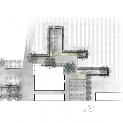 Andrea Cochran Landscape Architecture