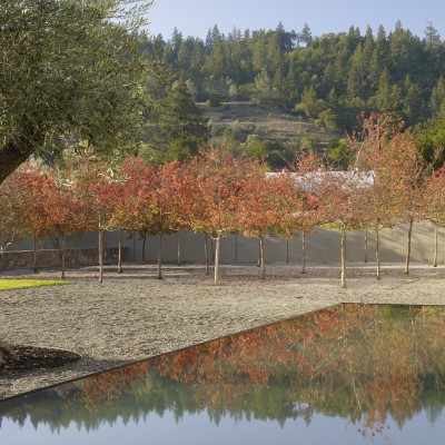Andrea Cochran Landscape Architecture