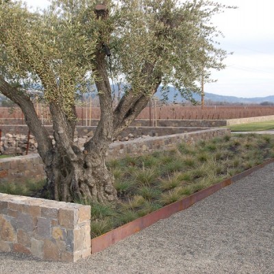 Andrea Cochran Landscape Architecture