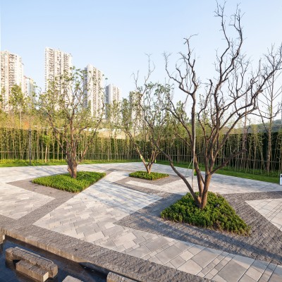 Martha Schwartz Partners, Zdjęcia: Terrence Zhang