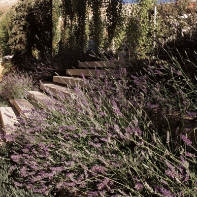 Vladimir Djurovic Landscape Architecture