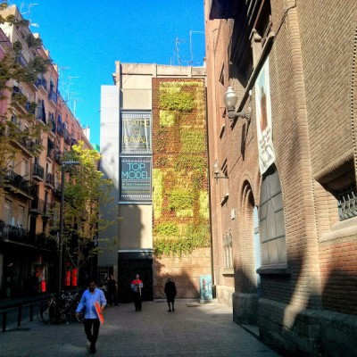 Urbanarbolismo 