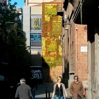 Urbanarbolismo 